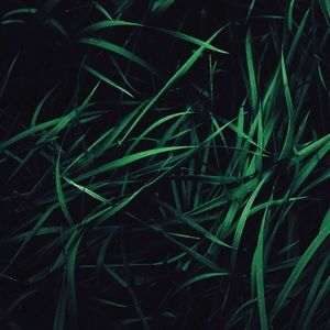 Meet your Posher, Dan